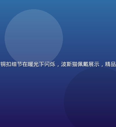 手工皮革猫颈圈特写，铜扣细节在暖光下闪烁，波斯猫佩戴展示，精品猫咪配饰绅士美学近景