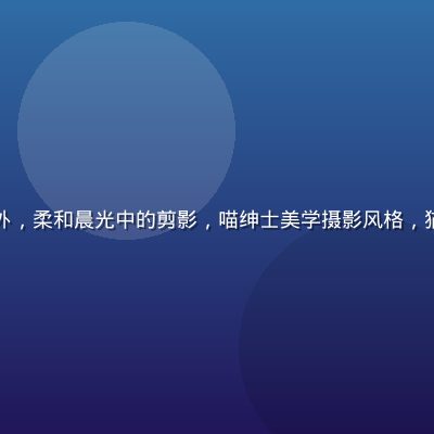 清晨窗边猫咪仰望窗外，柔和晨光中的剪影，喵绅士美学摄影风格，猫咪与光影的诗意瞬间